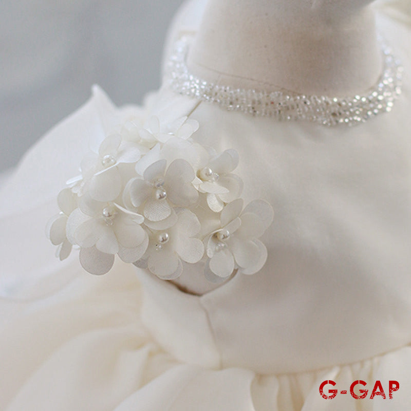 Catwalk Lace Princess Dress